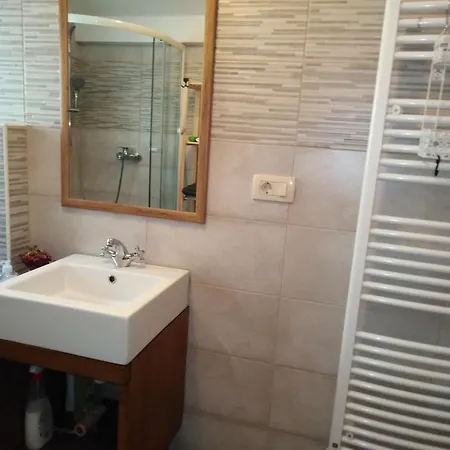 Apartma Sofia 公寓 *